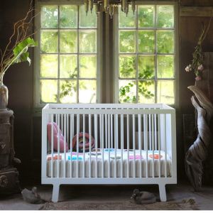 Oeuf-Sparrow-Crib